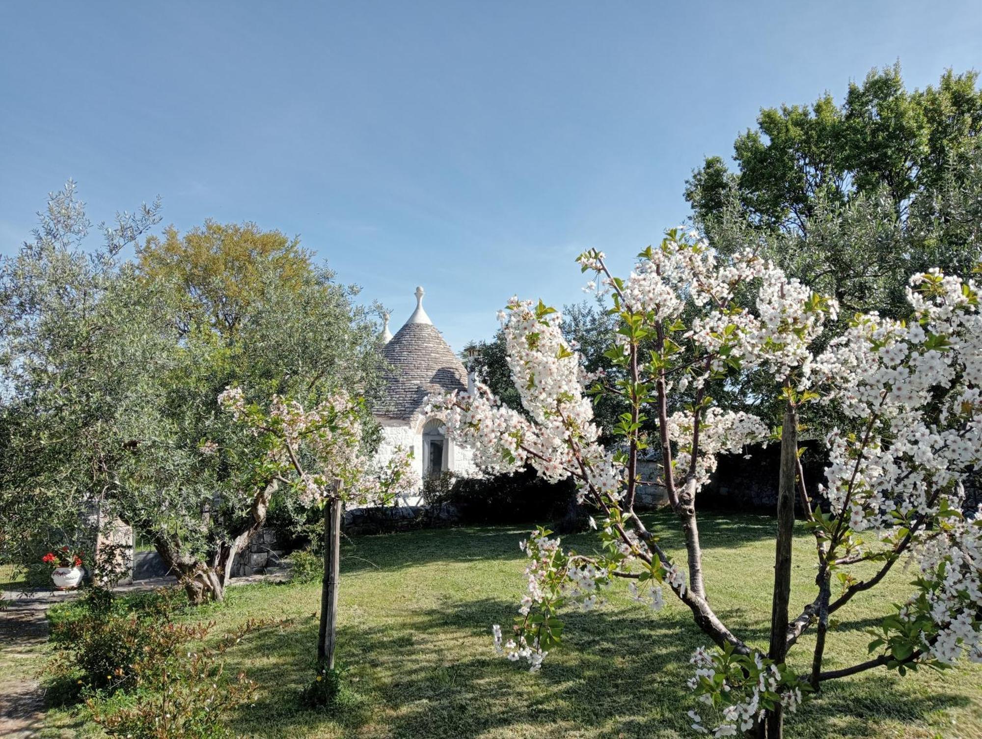 Trulli Manuela Villa Locorotondo Eksteriør bilde
